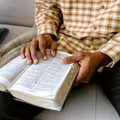 Biblia Diaria en Audio - febrero 3