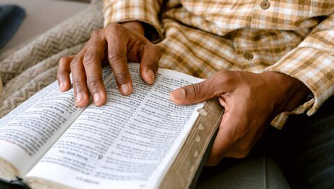 Proverbios Diarios en Audio - diciembre 13