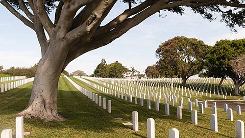 《約伯記》第十九章，二十五和二十六节。二
