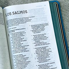 Génesis 46:5-47:10