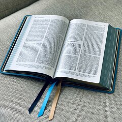 Proverbios Diarios en Audio - diciembre 19