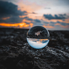 La humanidad en juicio