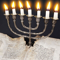 El tsunami y los animals