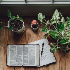 Persecution from the Anti-Christ